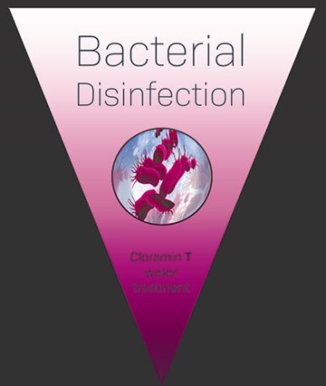 Bacterial Disinfection v1.0